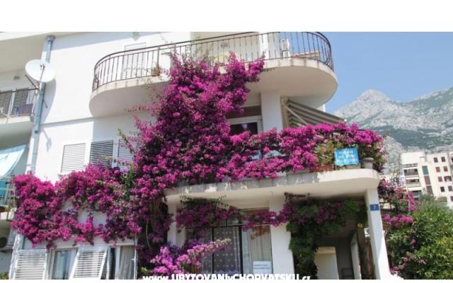 Appartementen ANTE – Accommodatie Makarska Kroatië