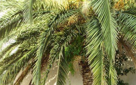 Silva apartments – Accommodatie Makarska Kroatië