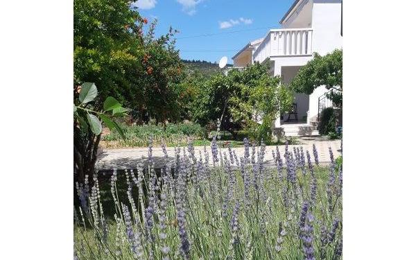 Slavko Šain – Accommodatie Marina - Trogir Kroatië