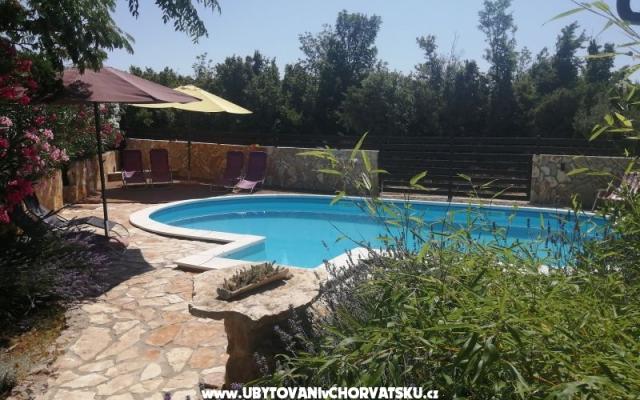 Sunny pool Appartementen – Accommodatie Maslenica Kroatië