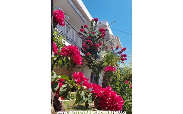 Appartementen Sokolić – Accommodatie Novi Vinodolski Kroatië