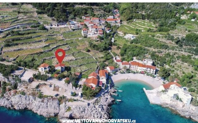 Two olive trees – Accommodatie Orebic – Peljesac Kroatië