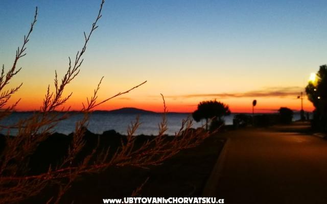 Appartementen Elenor – Accommodatie eiland Pag Kroatië