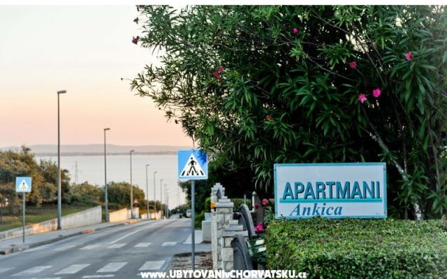 Appartementen Ankica – Accommodatie Petrcane Kroatië