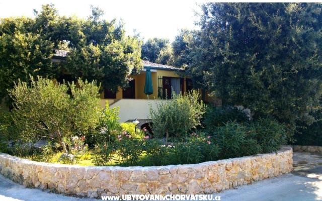 Appartementen Dani – Accommodatie Petrcane Kroatië