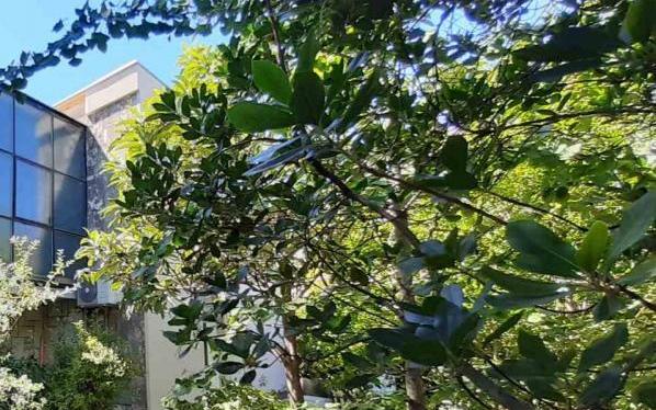 Appartement Zora Pula – Accommodatie Pula Kroatië