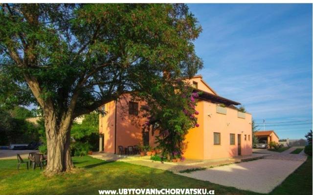 Appartementen Viktor – Accommodatie Pula Kroatië