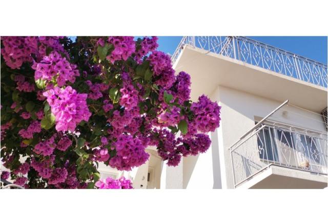 Appartement Mare – Accommodatie Sibenik Kroatië