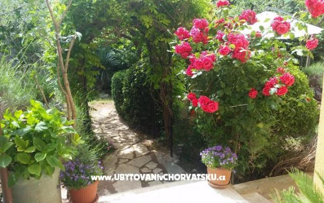 Vila Arboretum Šibenik – Accommodatie Sibenik Kroatië