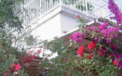 Appartementen Zdravka -15% – Accommodatie eiland Solta Kroatië