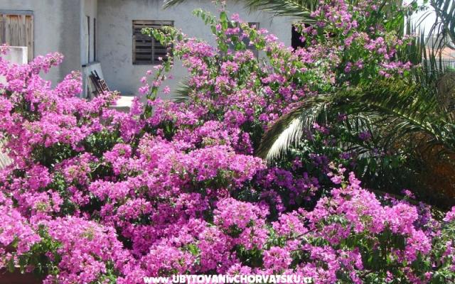 Appartement Mira – Accommodatie Split Kroatië