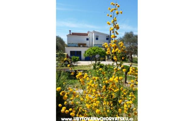Appartement Marin – Accommodatie Sveti Petar Kroatië