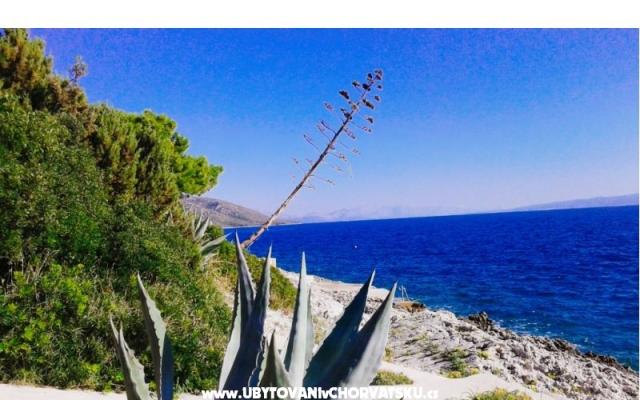 Goga Appartementen – Accommodatie Trogir Kroatië