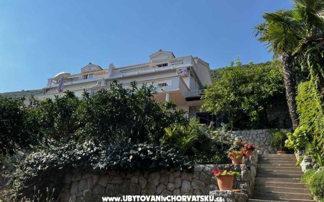 Vila Nautilus luxury Appartementen – Accommodatie Trpanj – Peljesac Kroatië