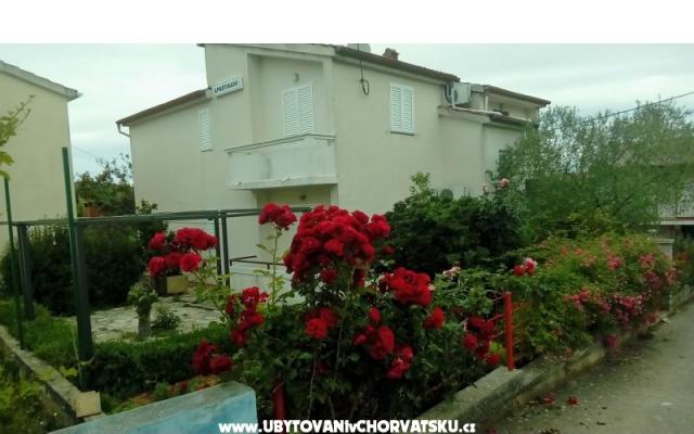 Appartementen Tomislav – Accommodatie eiland Ugljan Kroatië