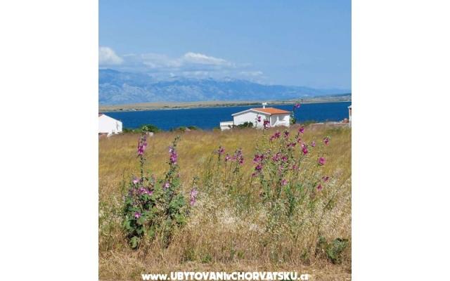 Appartementen Mišković – Accommodatie eiland Vir Kroatië