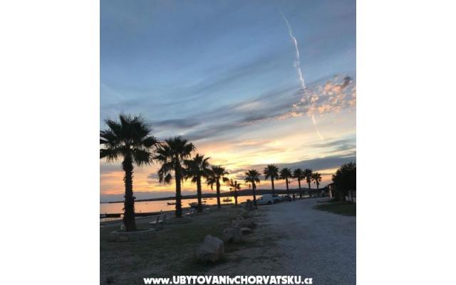 Appartementen Robi – Accommodatie eiland Vir Kroatië