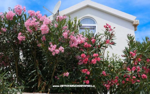 Appartementen Podlesek – Accommodatie eiland Vir Kroatië