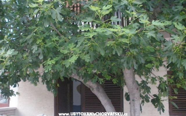 Appartementen  Smokva   – Accommodatie Vodice Kroatië