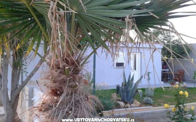 Studio apartment Ella Vrsi i apartm – Accommodatie Zadar Kroatië