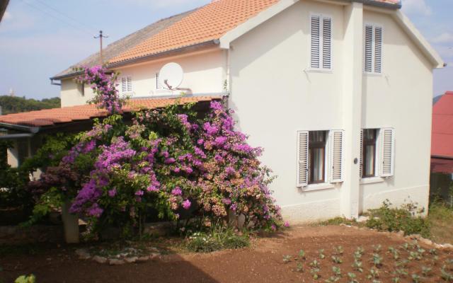 Huis Branka – Accommodatie Zadar Kroatië