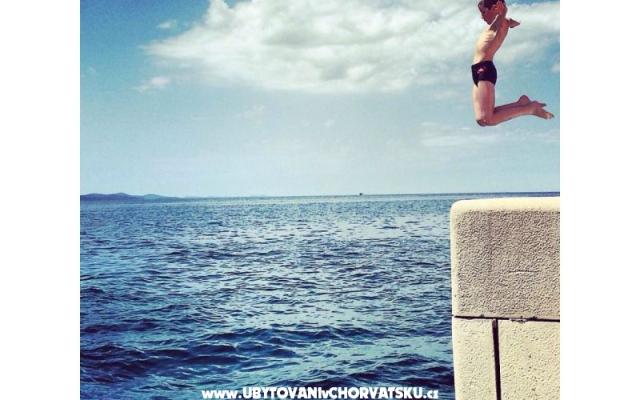 Stan Zadar – Accommodatie Zadar Kroatië