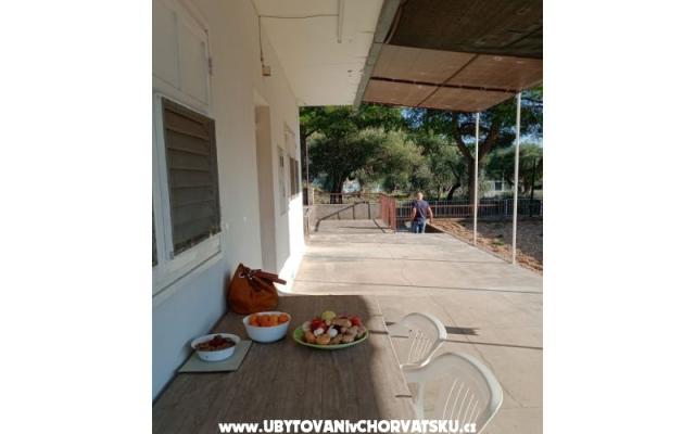 Appartement Viter – Accommodatie Zaostrog Kroatië