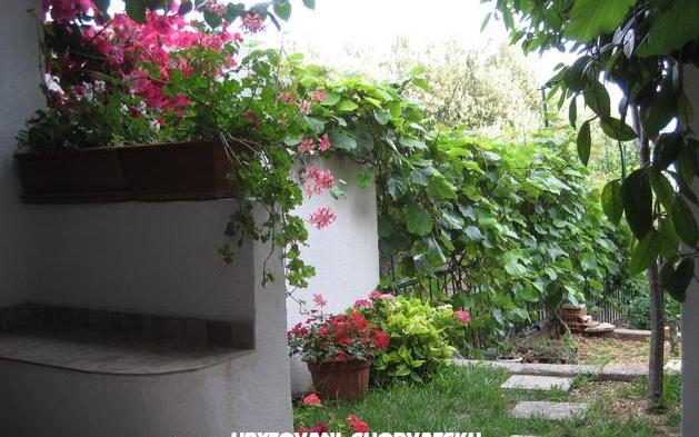 Appartementen Brajković – Accommodatie Zivogosce Kroatië