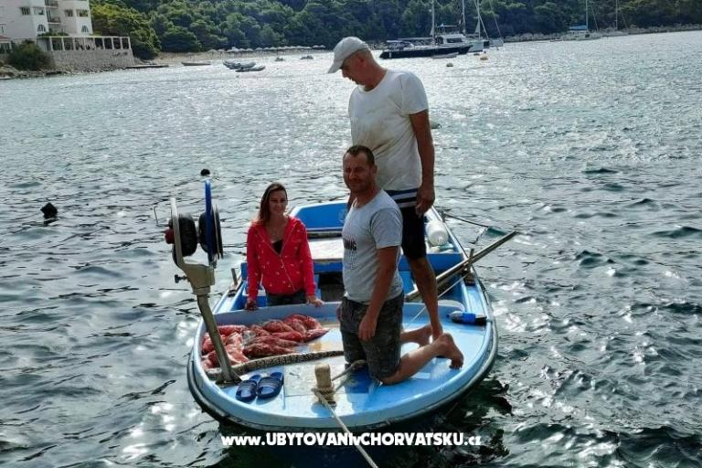Appartementen Ivo Mljet – foto 5
