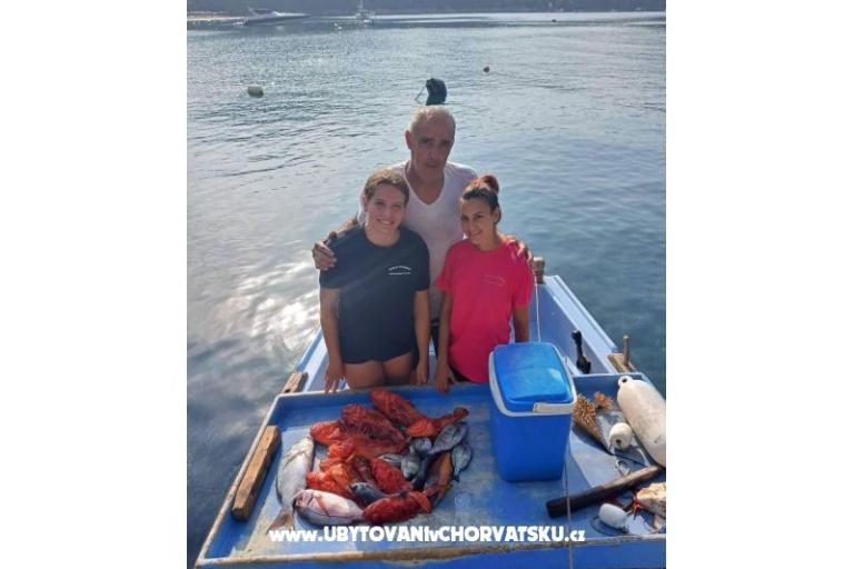 Appartementen Ivo Mljet – foto 7
