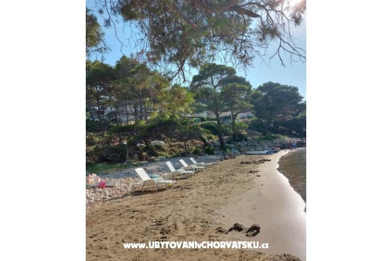 Appartementen Ivo Mljet – foto 8