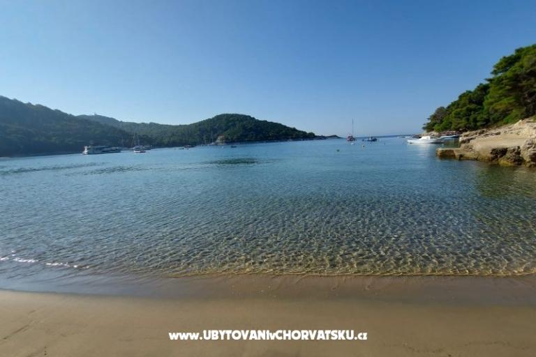Appartementen Ivo Mljet – foto 9