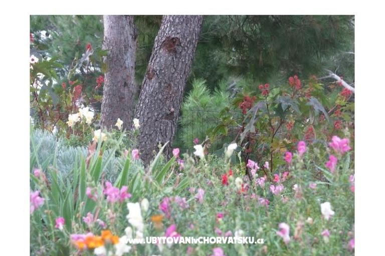 Ana Appartementen – foto 10