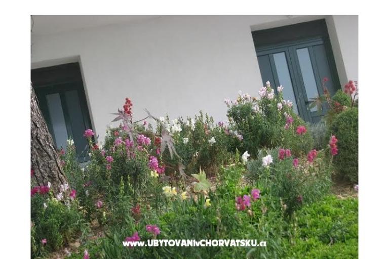 Ana Appartementen – foto 11