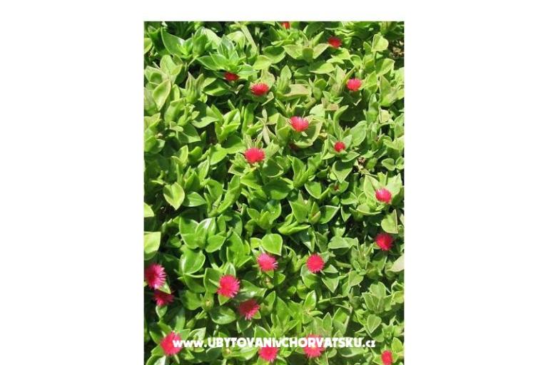 Ana Appartementen – foto 12