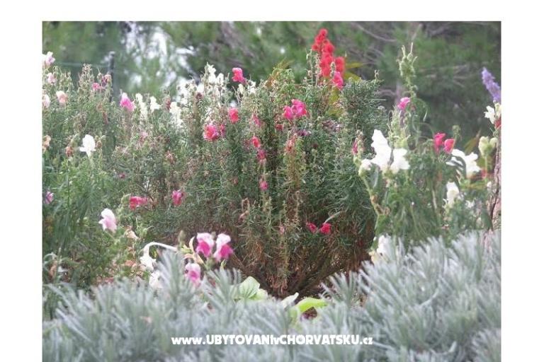 Ana Appartementen – foto 9