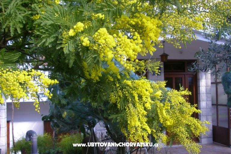 Appartementen Bašković – foto 17