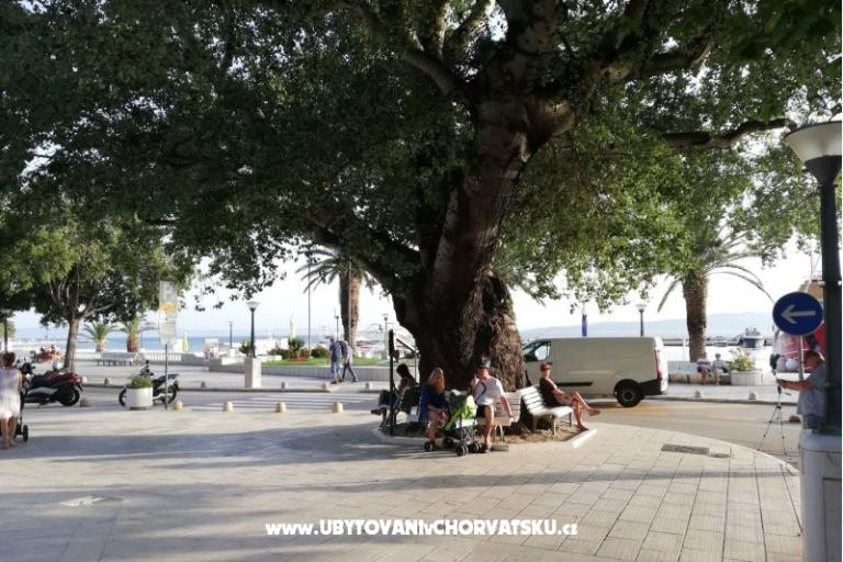 Appartementen Divić - Villa Mateo  – foto 18