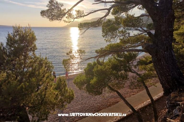 Appartementen Divić - Villa Mateo  – foto 27