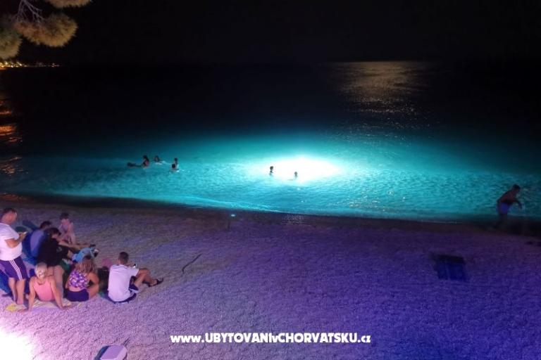 Appartementen Divić - Villa Mateo  – foto 42