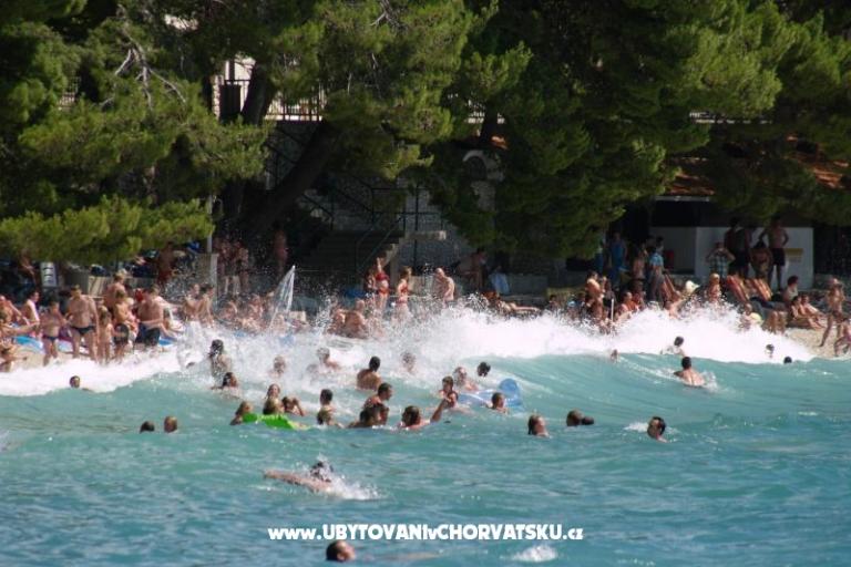 Appartementen i sobe PAULA – foto 9