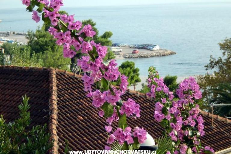 Appartementen Jurišić – foto 17