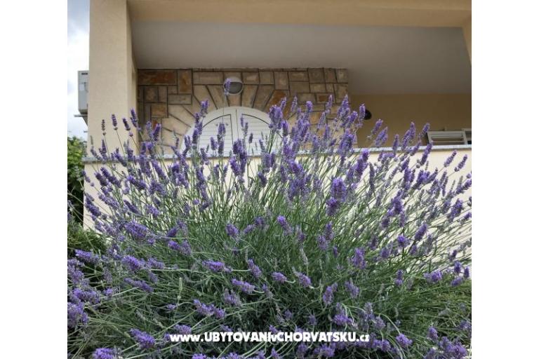 Appartementen Iva – foto 10
