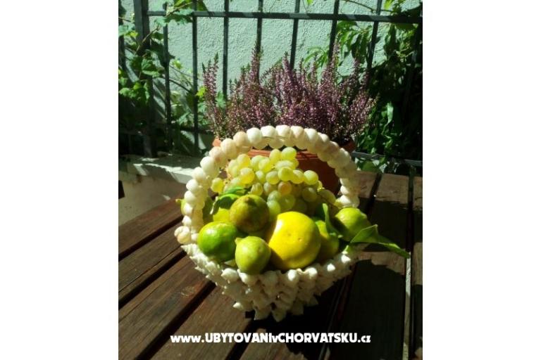 Appartementen Pavić Promajna – foto 8