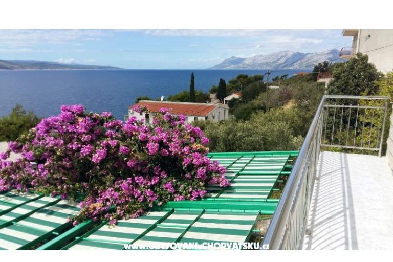 Appartementen Vito – foto 8