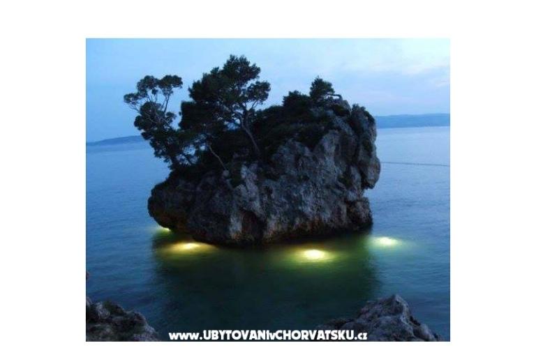 Appartementen Mimoza – foto 16