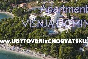 Appartementen Mimoza – foto 8