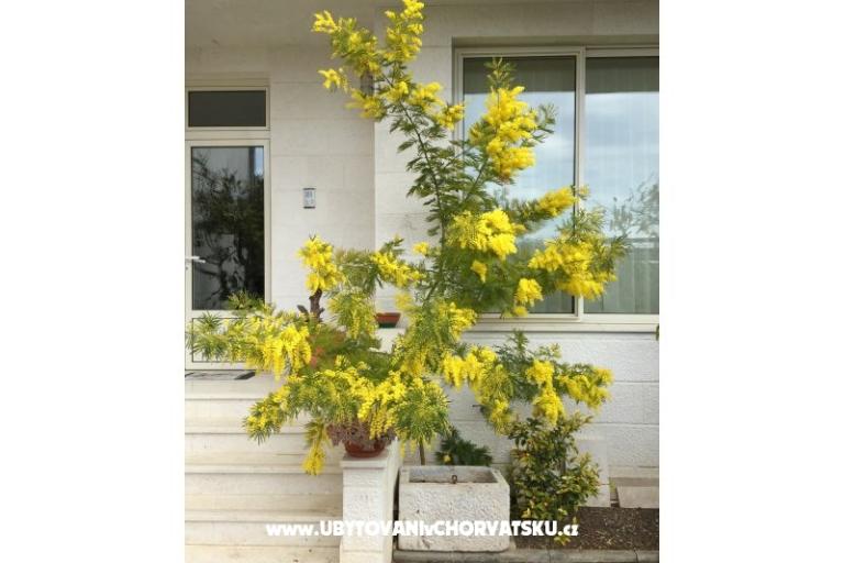 Huis Grazia – foto 7
