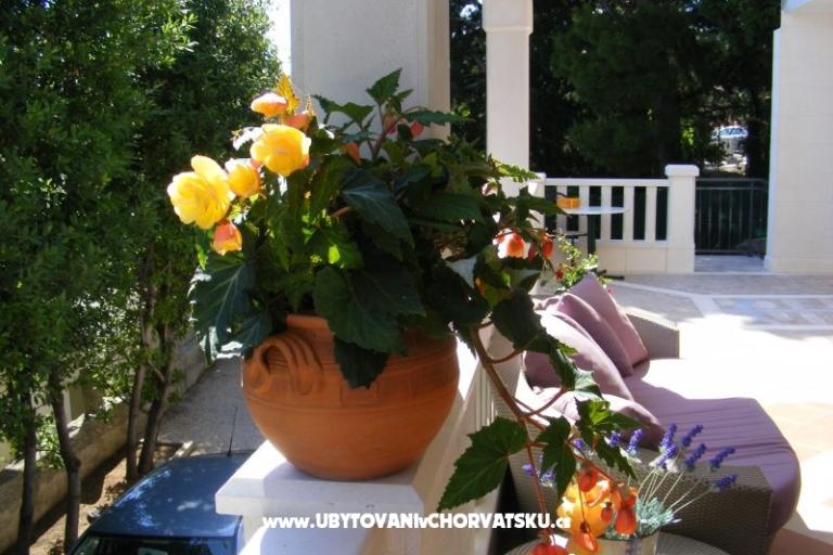 Villa Ana – foto 11