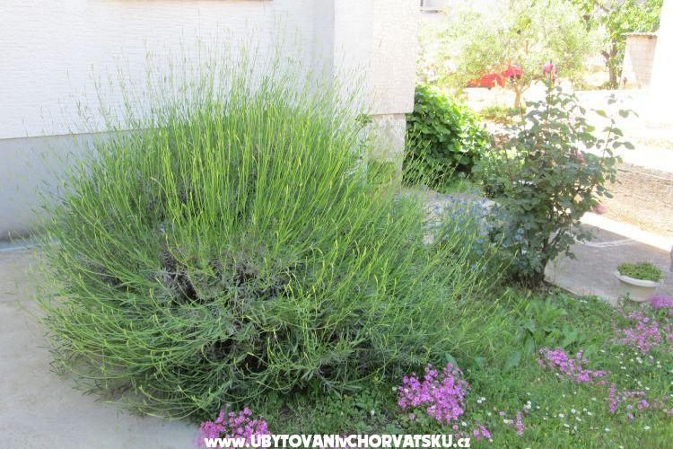 Appartement Dara – foto 14